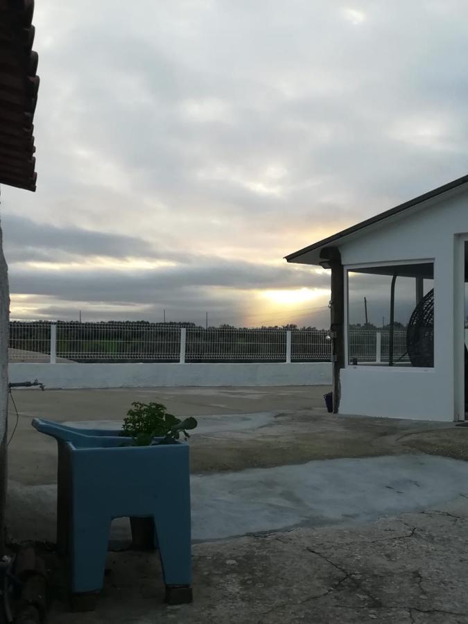 Snow Guest House Santarém Extérieur photo