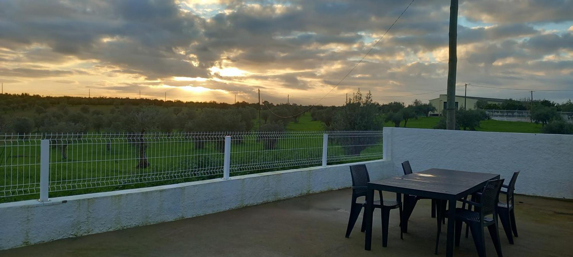 Snow Guest House Santarém Extérieur photo